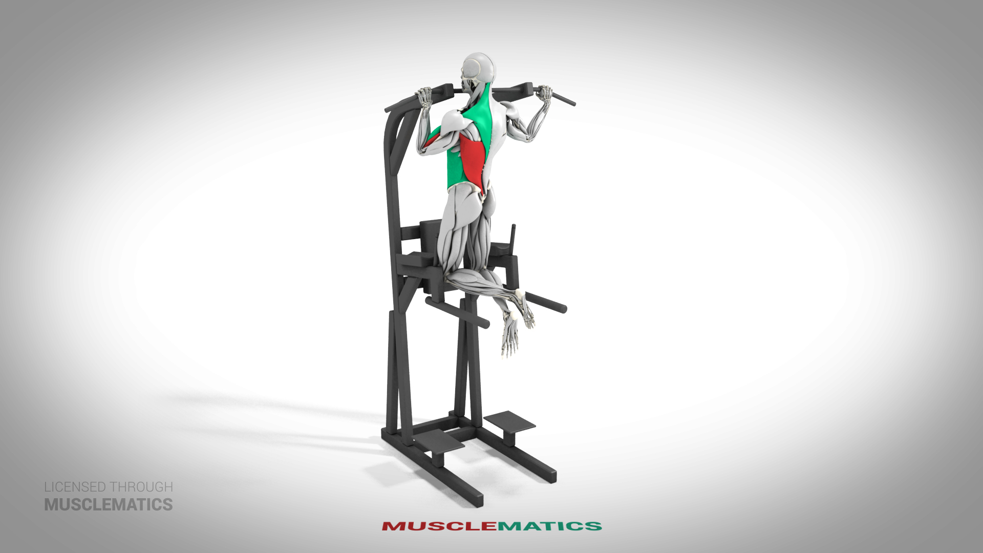 Side-To-Side Pull-Up - (All Views) - LEFT