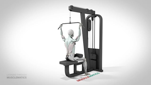 Back Lat Pull-Downs - (View 3)