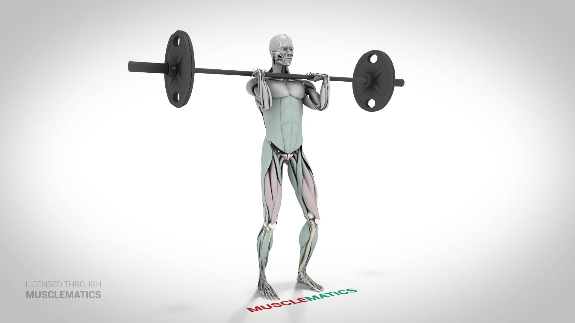 Front Squats - (View 2)