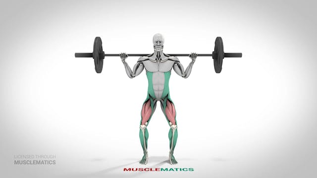 Barbell Squats - (View 1)