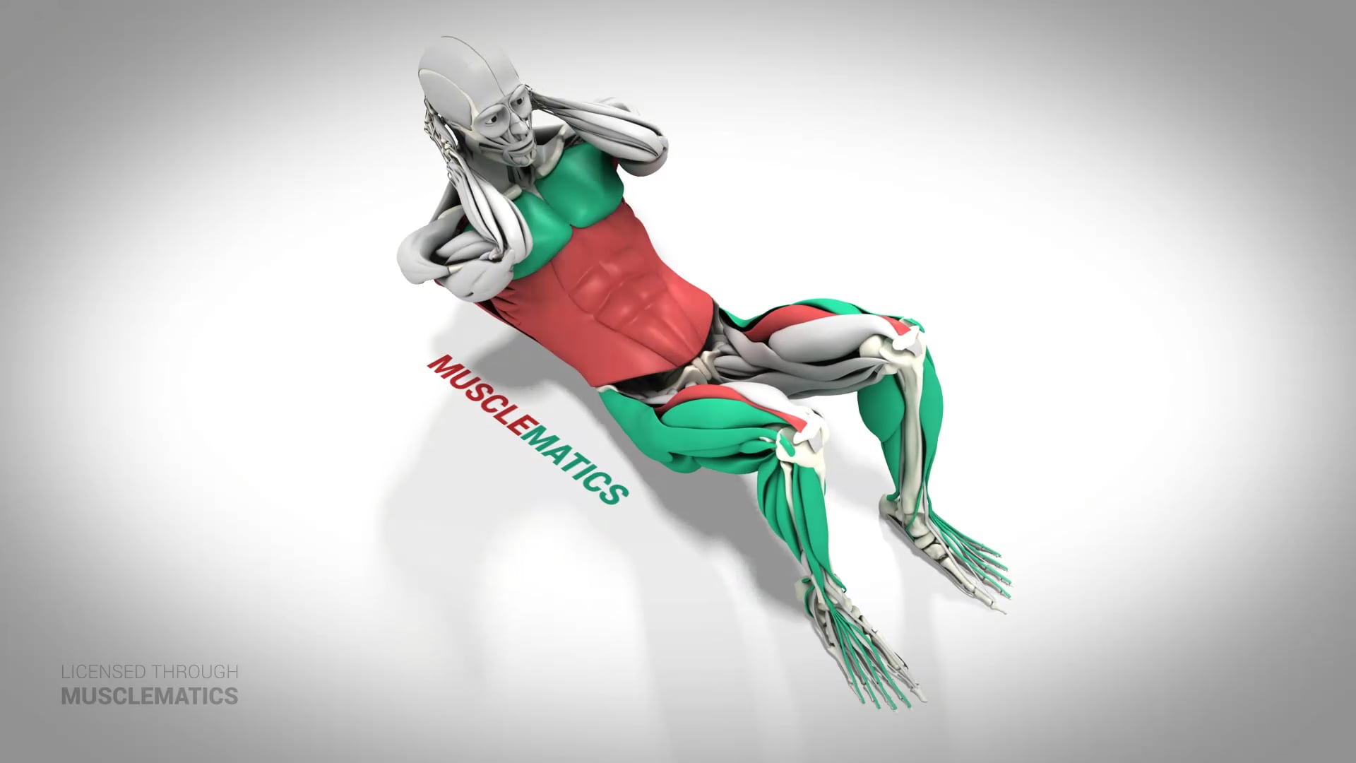 Crunches - (All Views)