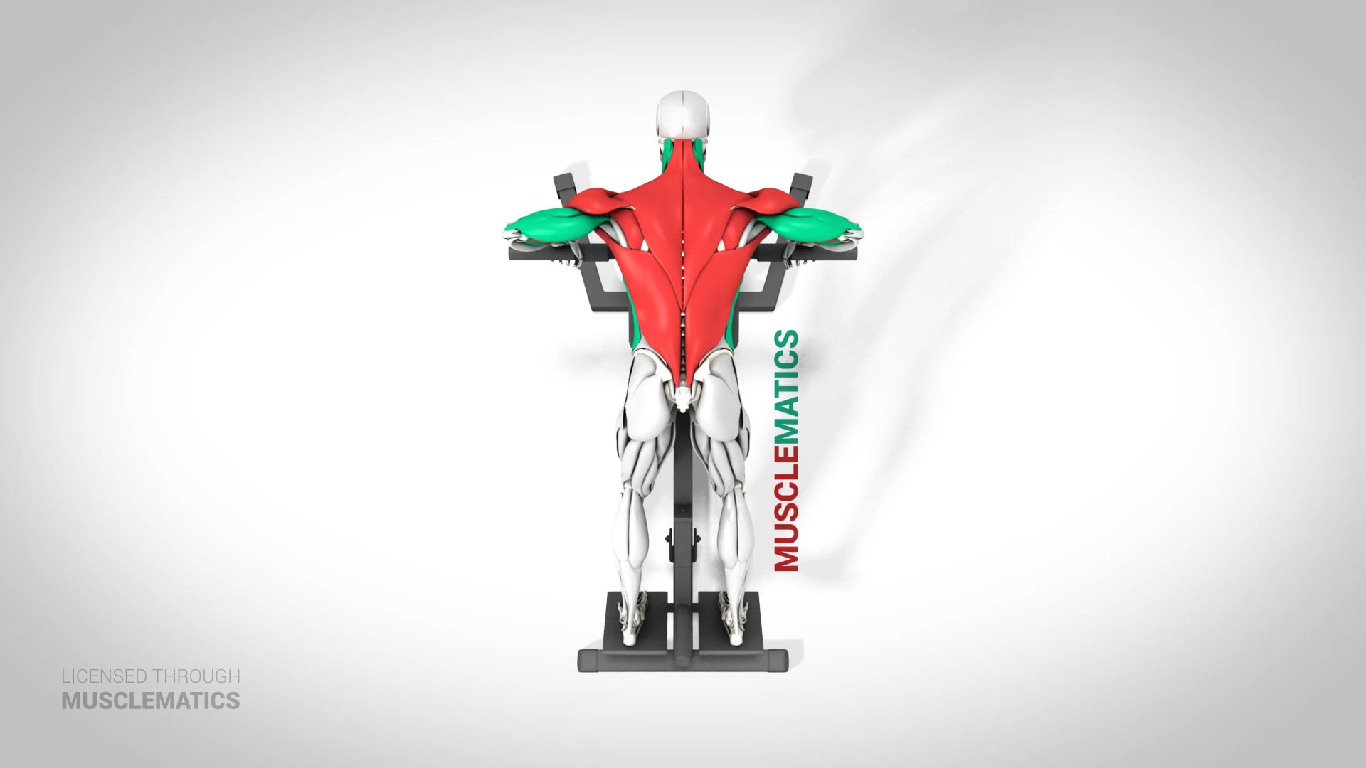 T-Bar Rows With Abdominal Support - (View 1)