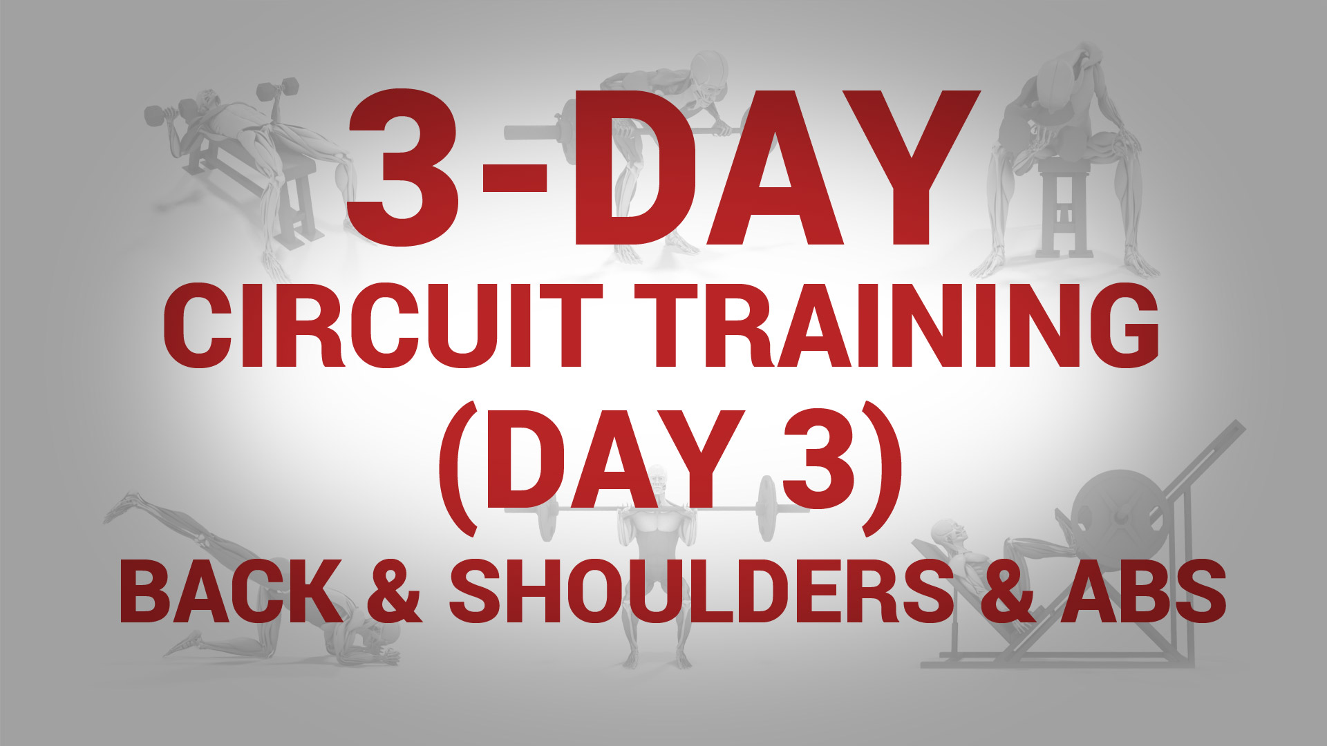 3-Day Circuit Training (Day 3) - BACK & SHOULDERS & ABS