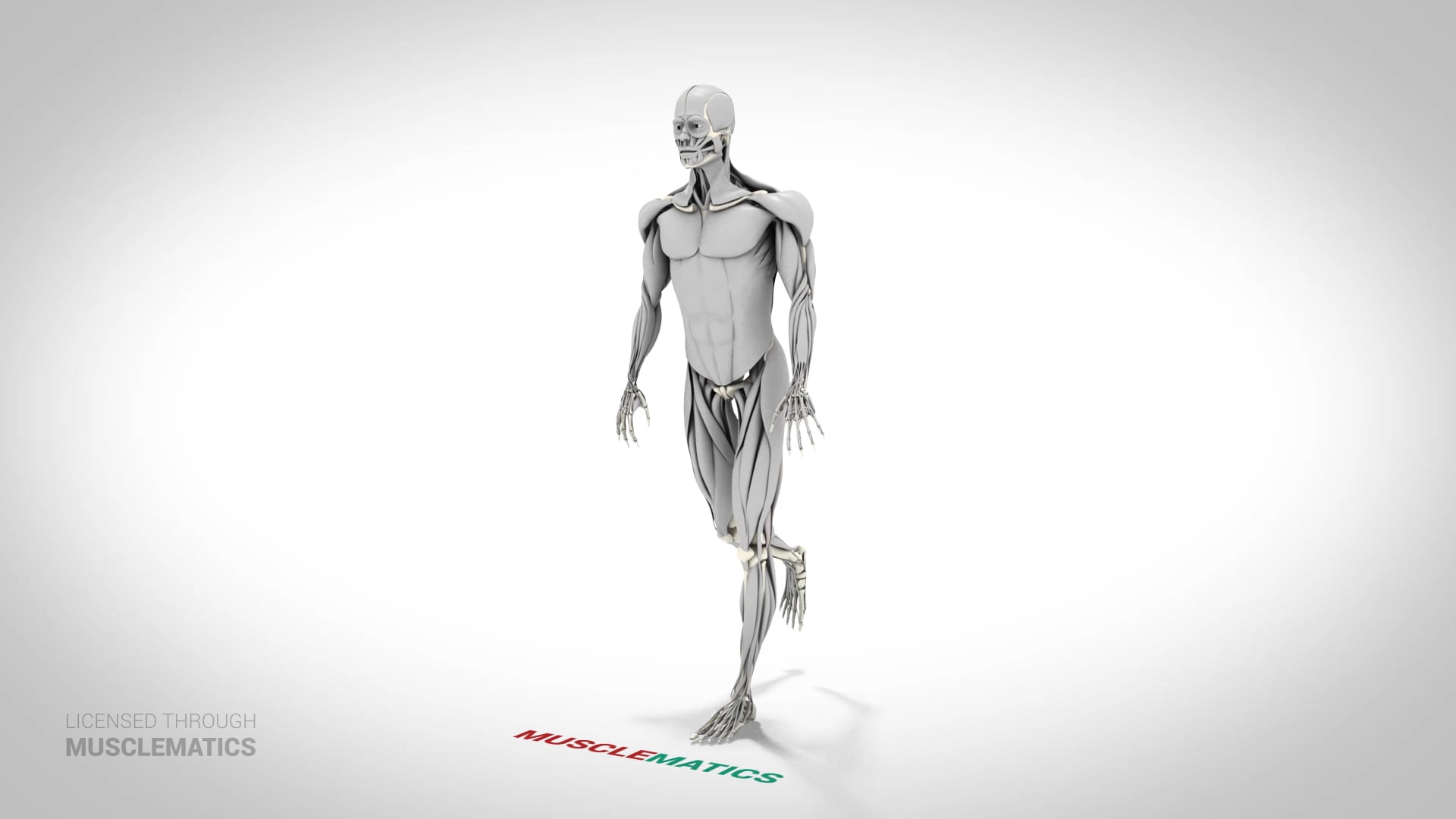 Single-Leg Romanian Deadlift - (View 1) - LEFT