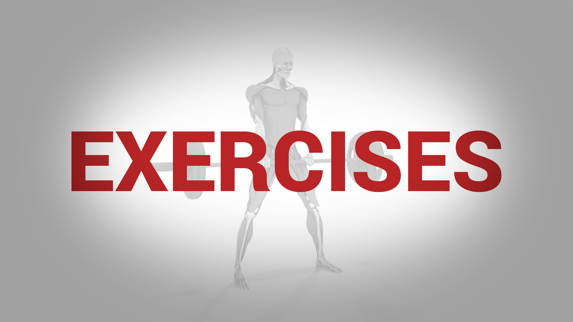 Exercise Bundle