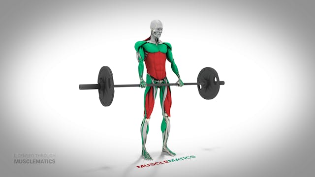 Deadlifts - (All Views)