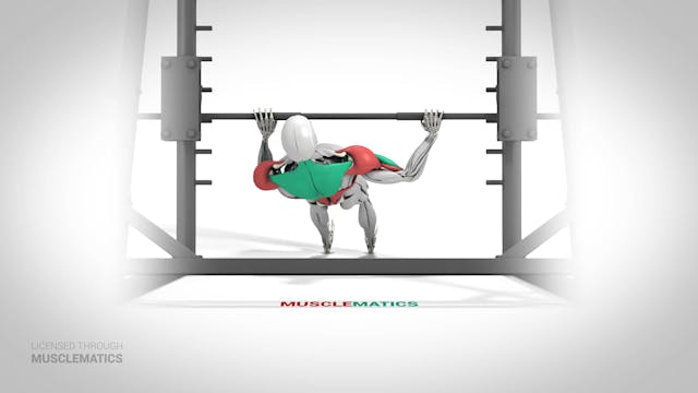 Sliding Side-To-Side Inverted Row - (...