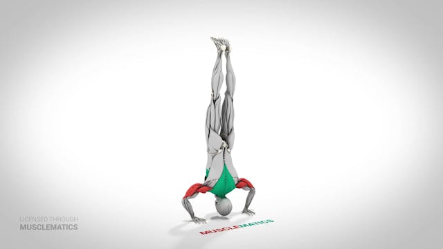 Wall Handstand Push-Up - (View 3)