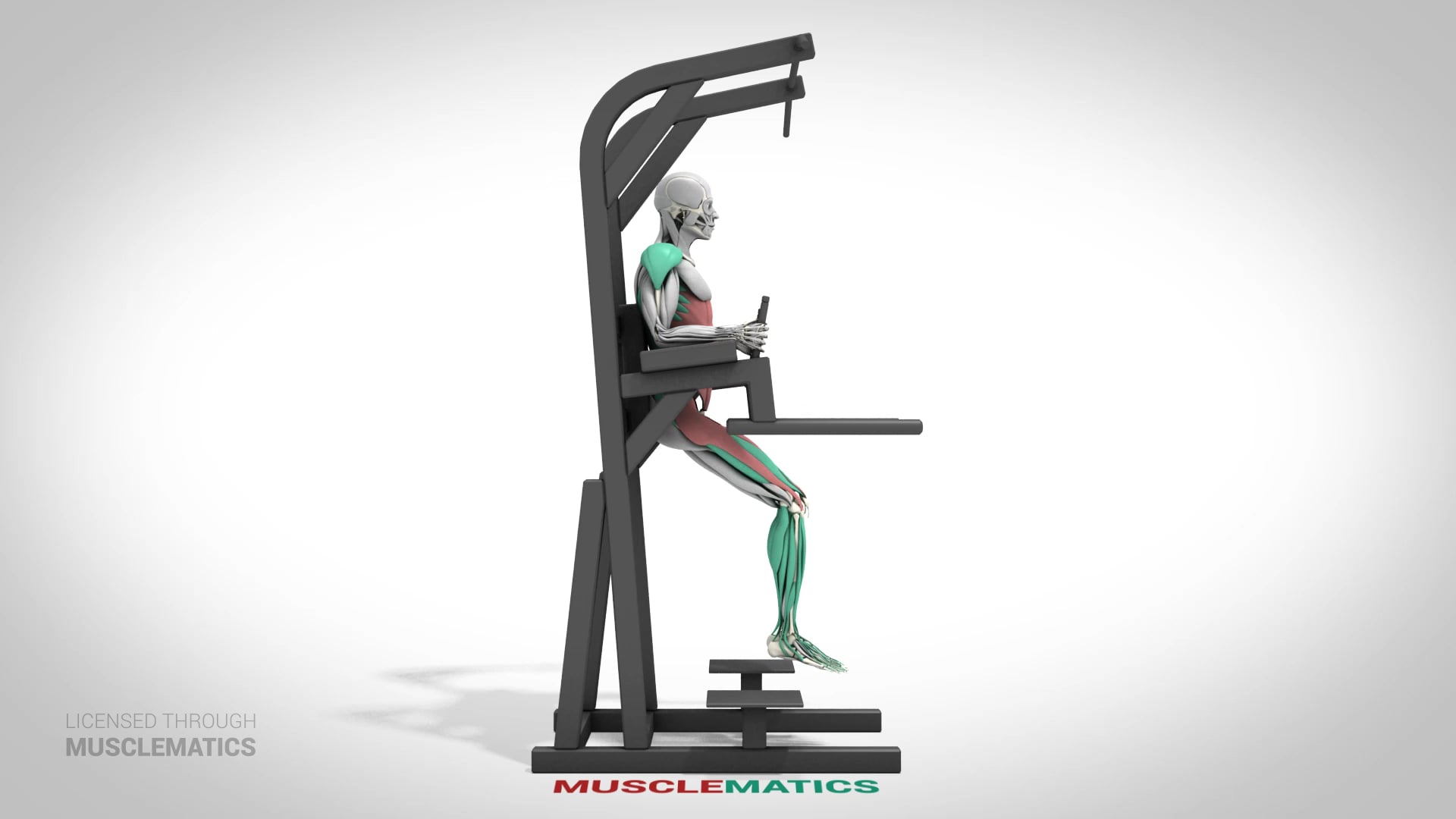 Leg Raises (Bent Leg) - (View 1)