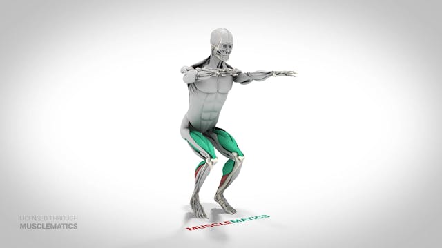 Squat Calf Raise - (View 1)