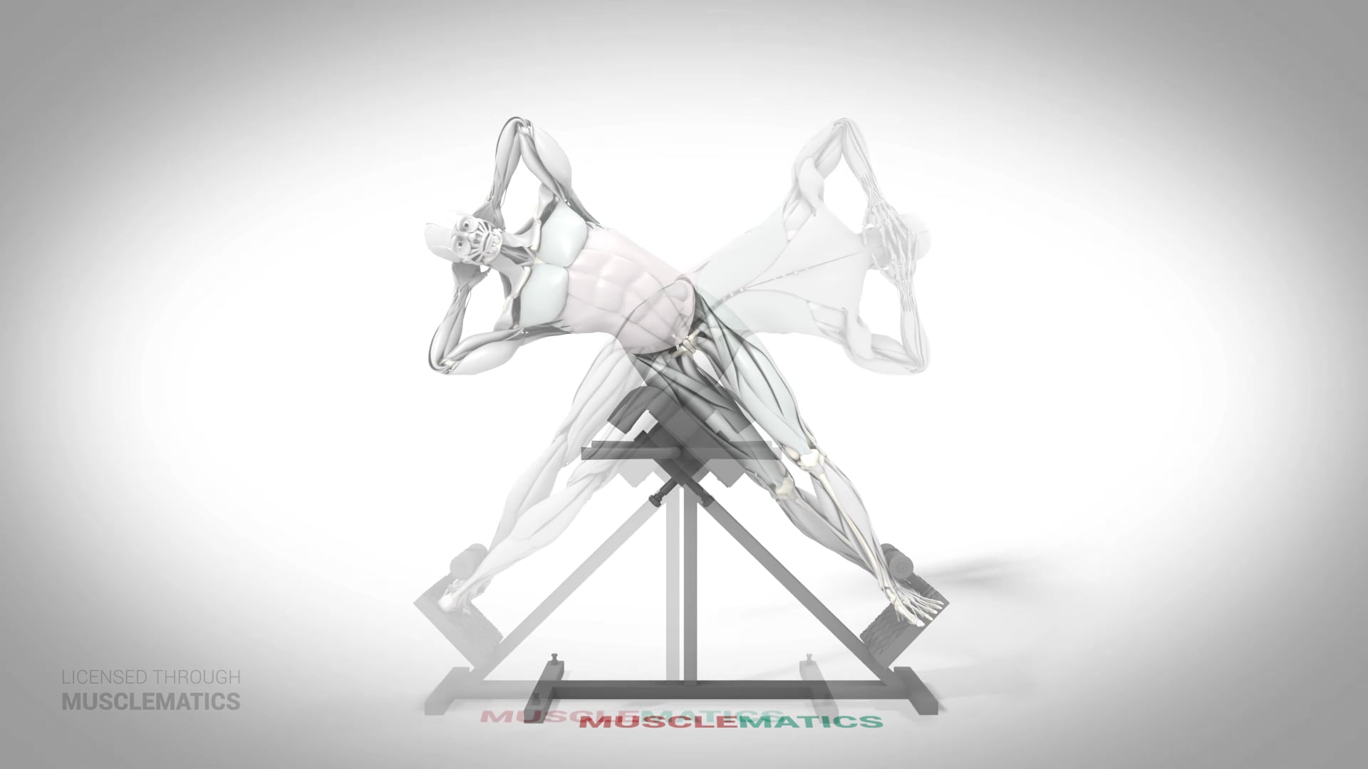 Roman Chair Side Bends - (All Views) - LEFT