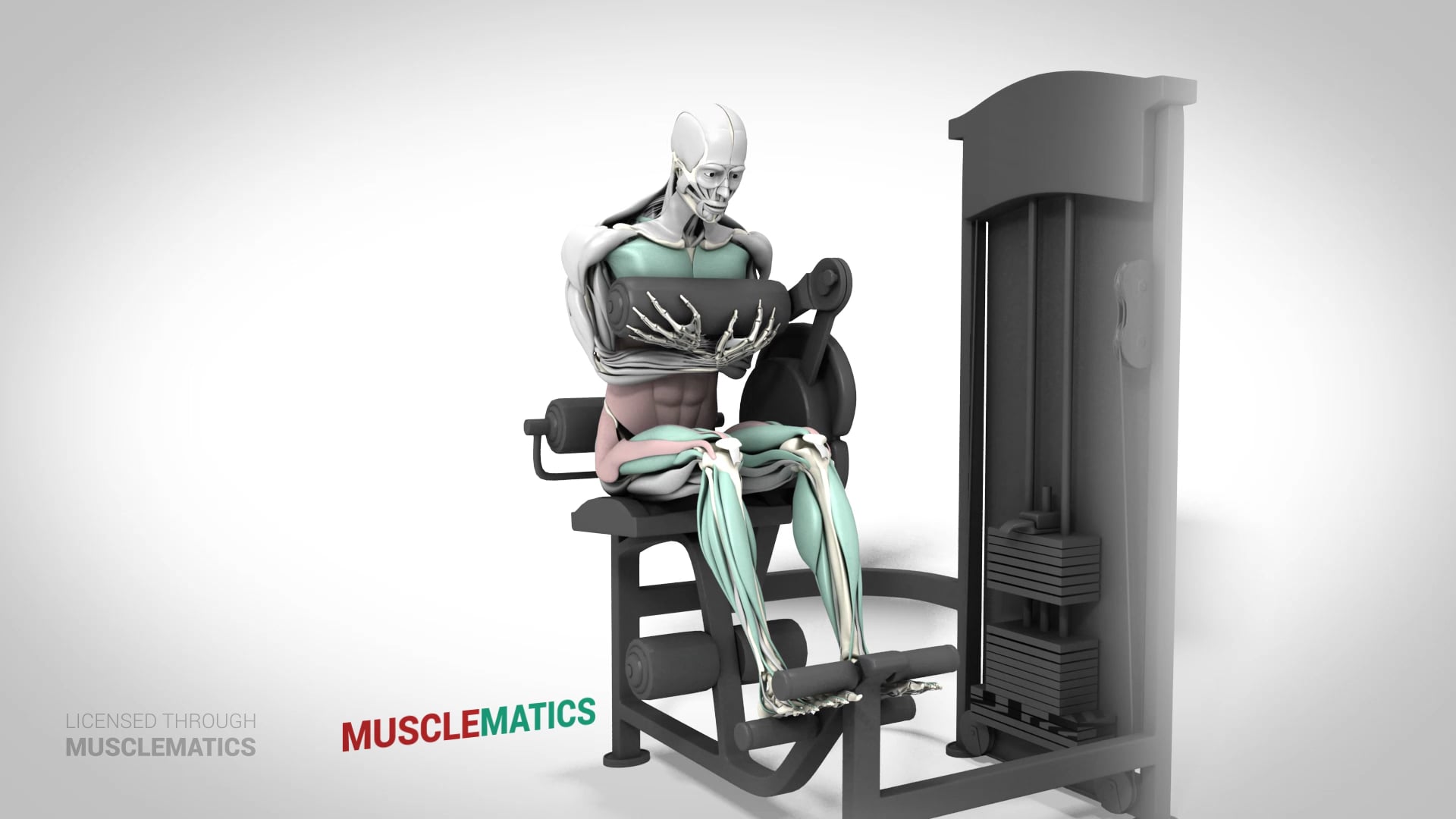 Machine Crunches - (View 3)