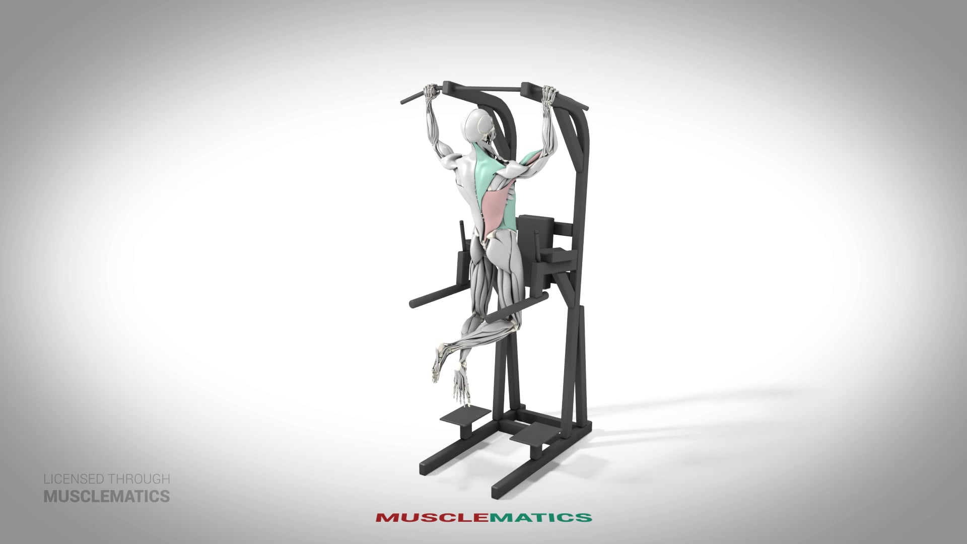 Side-To-Side Pull-Up - (All Views)