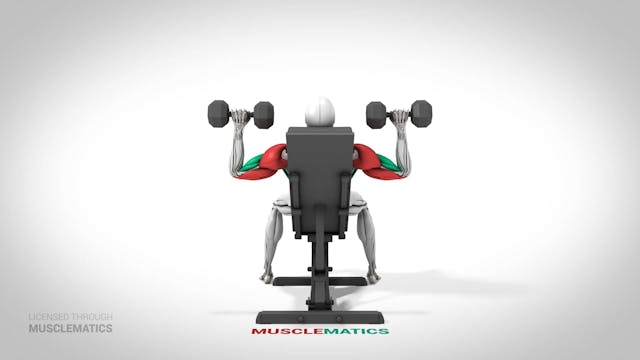 Incline Dumbbell Presses - (View 3)