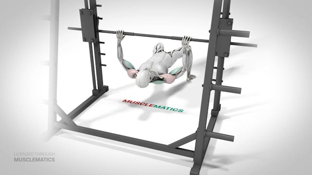 Inverted Row With Bent Knees - (View 2)