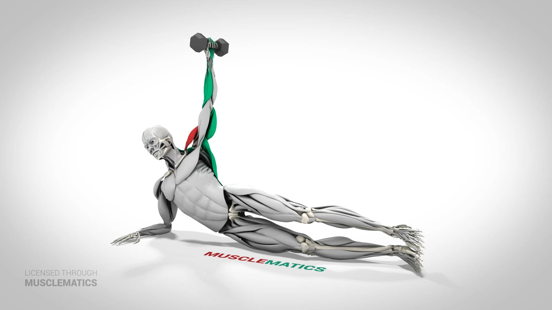 Side-Lying Lateral Raises - (View 2) - LEFT