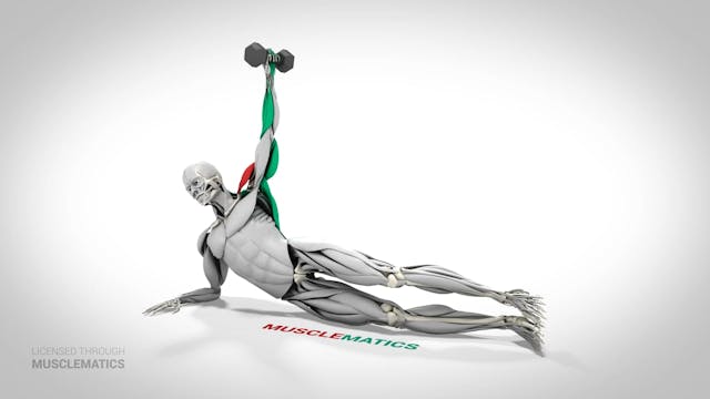 Side-Lying Lateral Raises - (View 2) ...