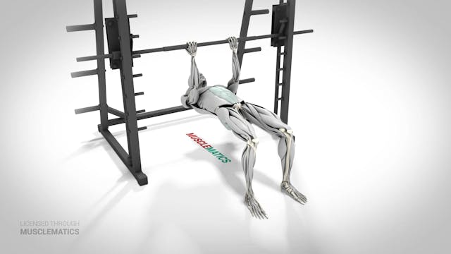 Bodyweight Inverted Curl With Bent Kn...