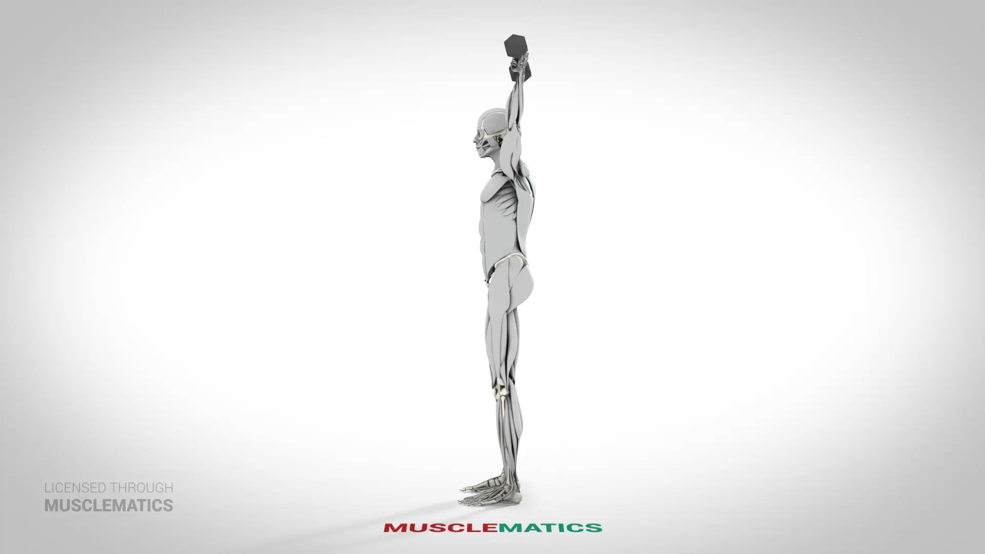 One-Arm Dumbbell Triceps Extensions - (View 2) - LEFT