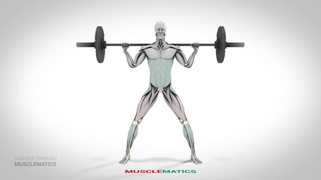 Power Squats - (View 1)