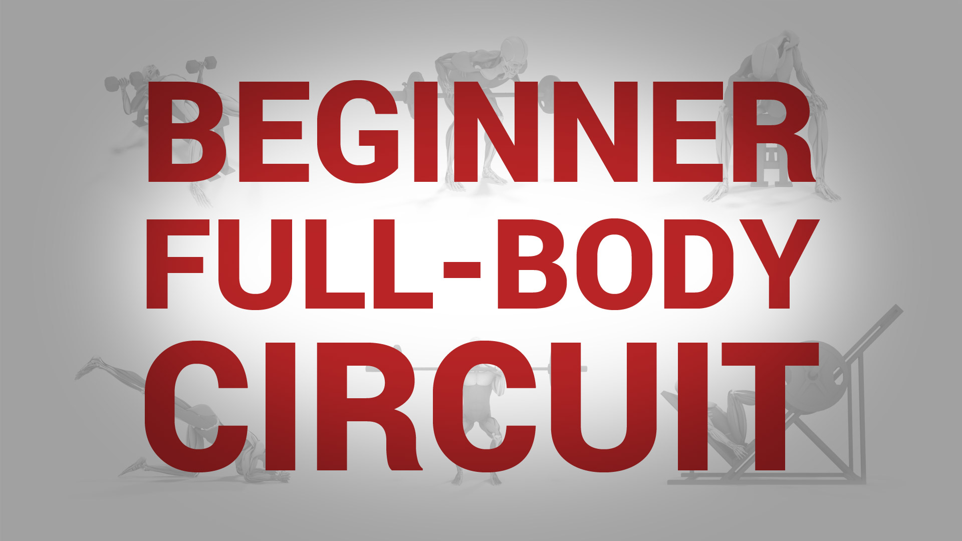 Beginner Full-Body Circuit