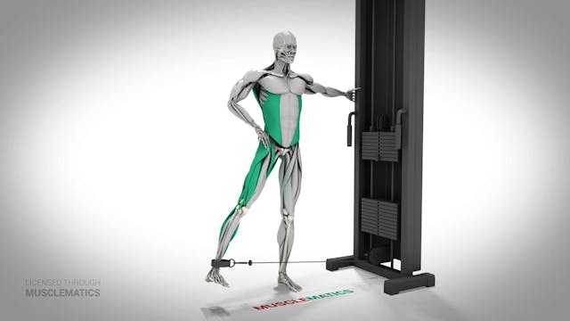 Cable Hip Abductions - (All Views)