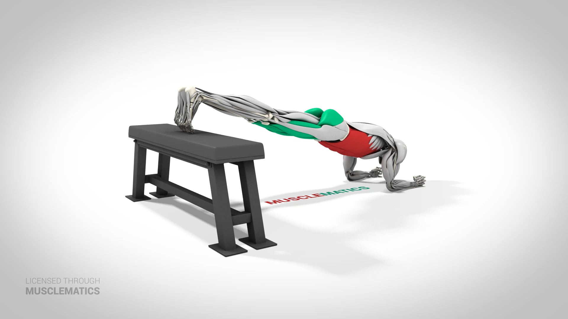 Decline Plank - (View 2)