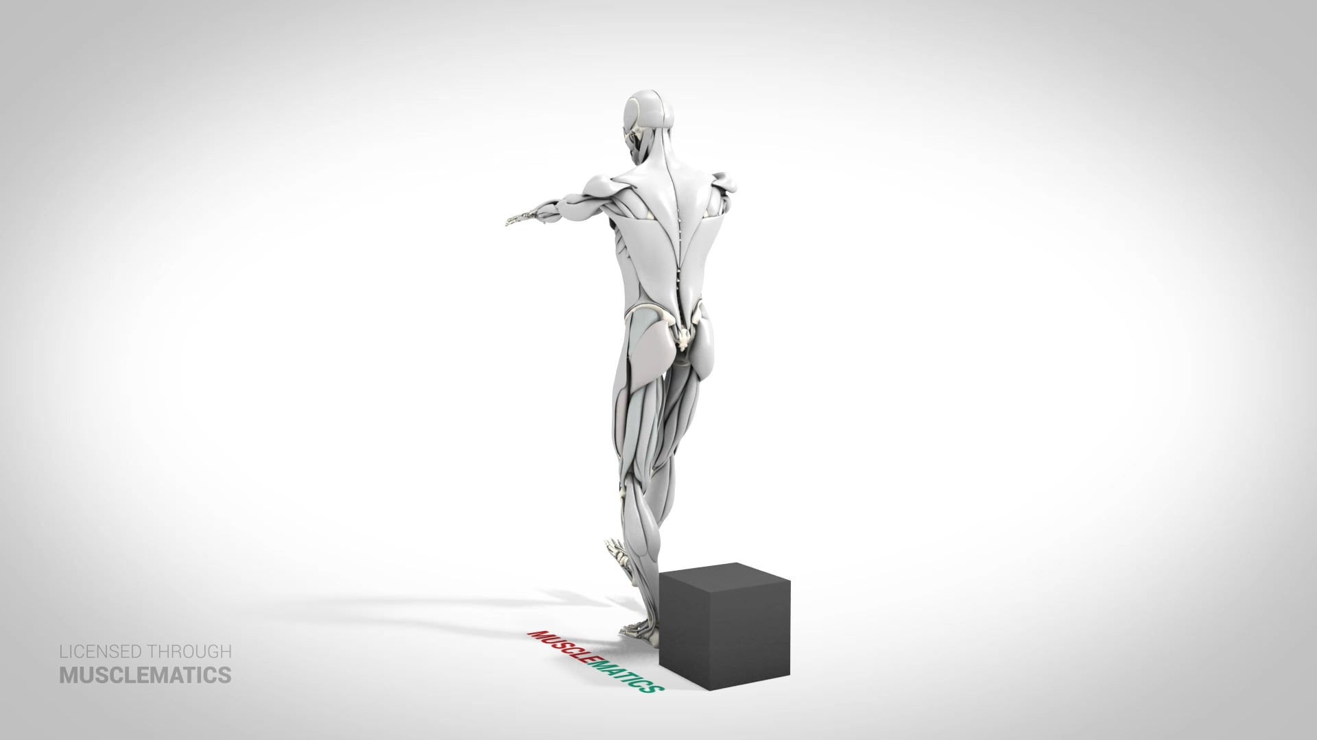 Single-Leg Low-Box Squat - (View 3) - LEFT