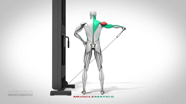 Low-Pulley Lateral Raises - (View 2)