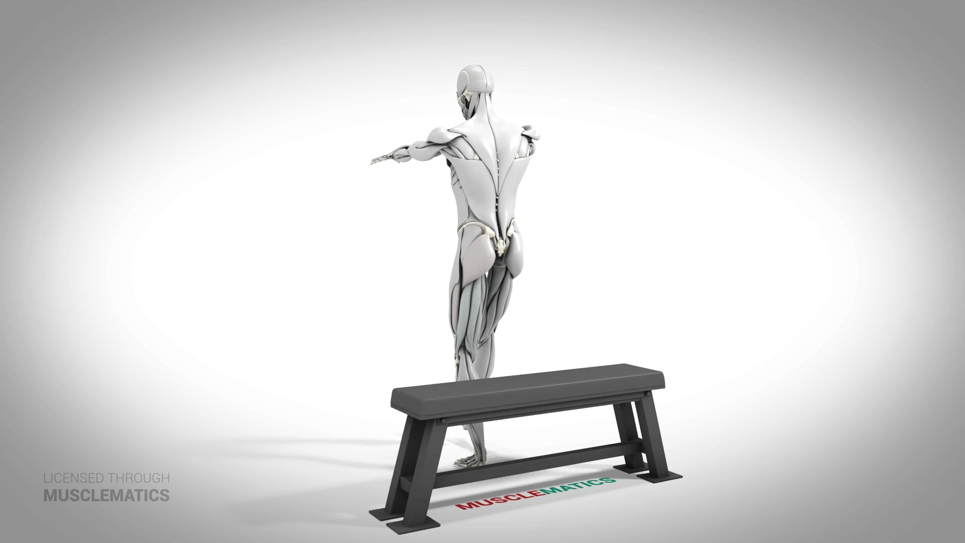 Single-Leg Box Squat - (All Views) - LEFT