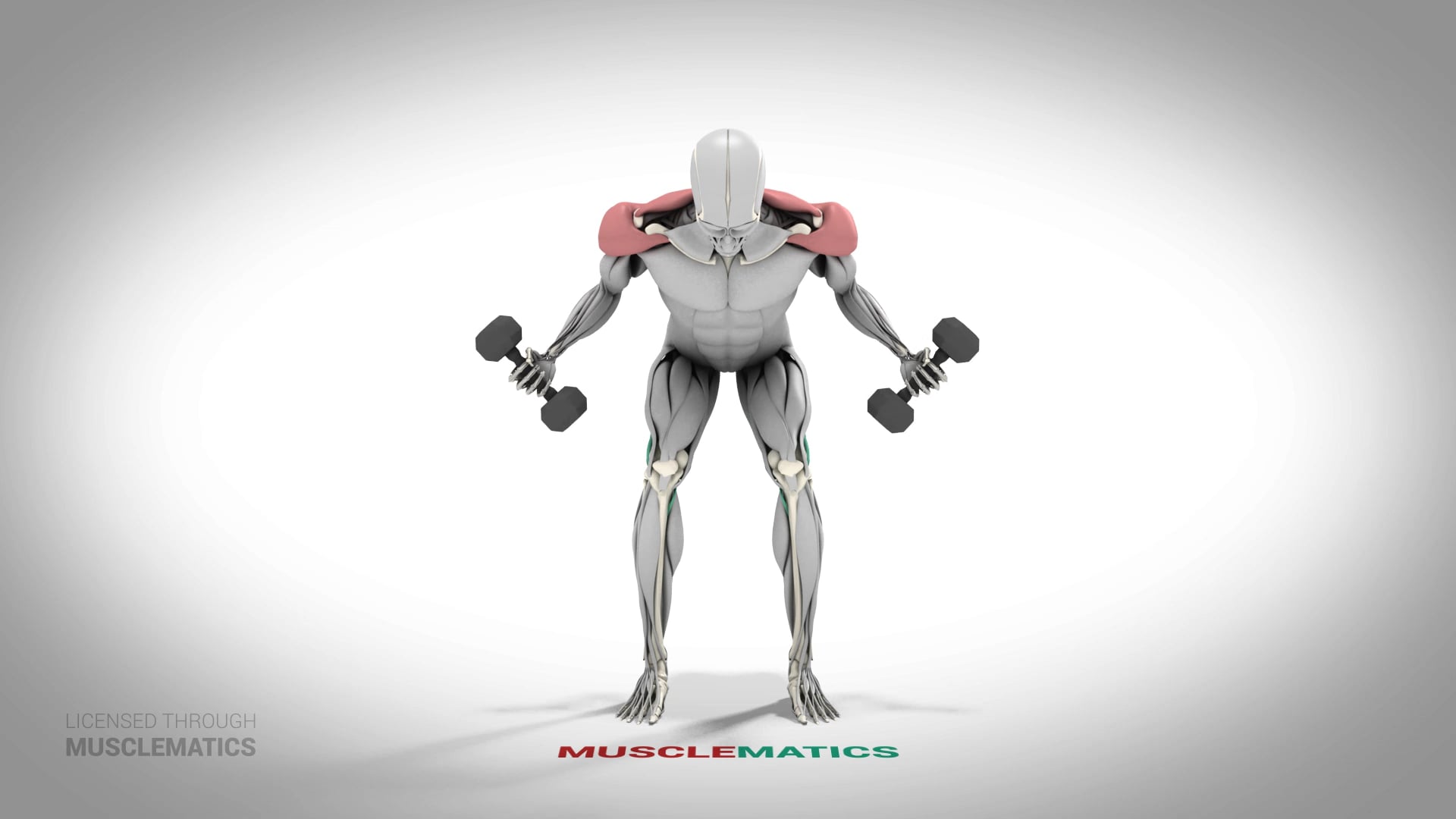 YTWL (W) - (All Views)