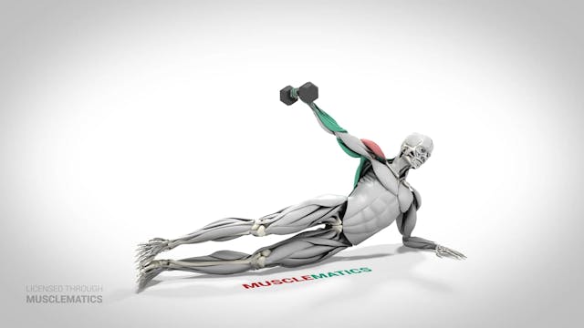 Side-Lying Lateral Raises - (View 2)