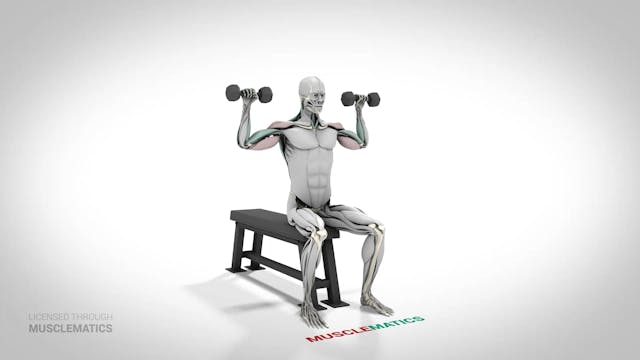 Seated Dumbbell Presses - (View 2)