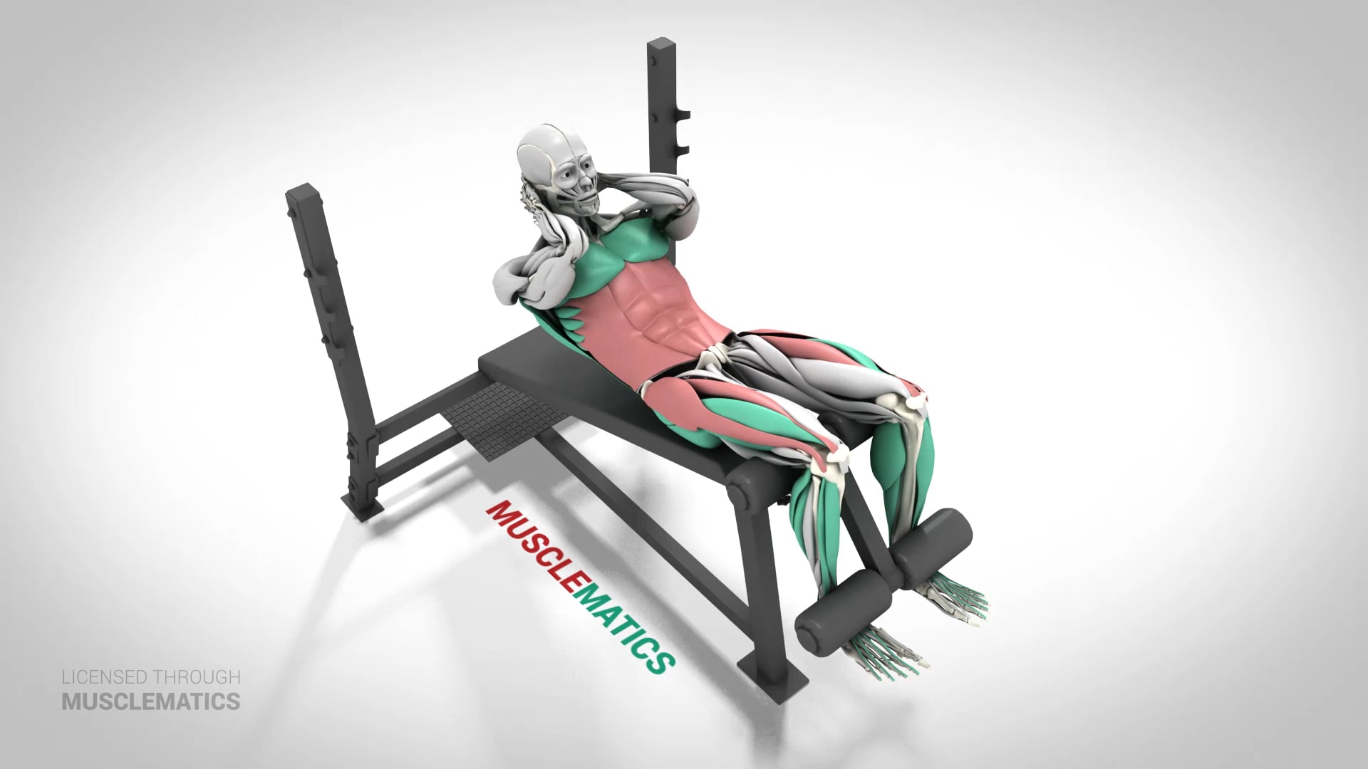 Incline Bench Sit-Ups - (View 3)