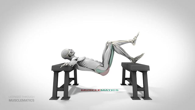 Single-Leg Elevated Hip Thrust - (Vie...