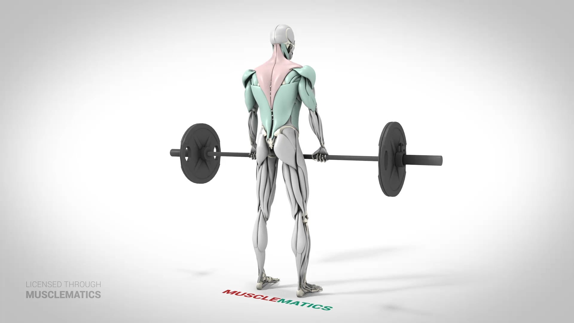 Barbell Shrugs - (View 3)