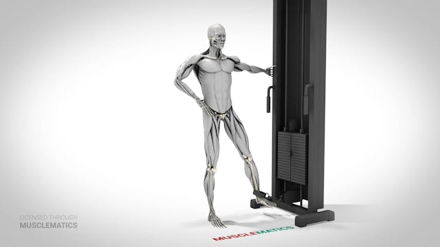 Cable Adductions - (View 3) - LEFT