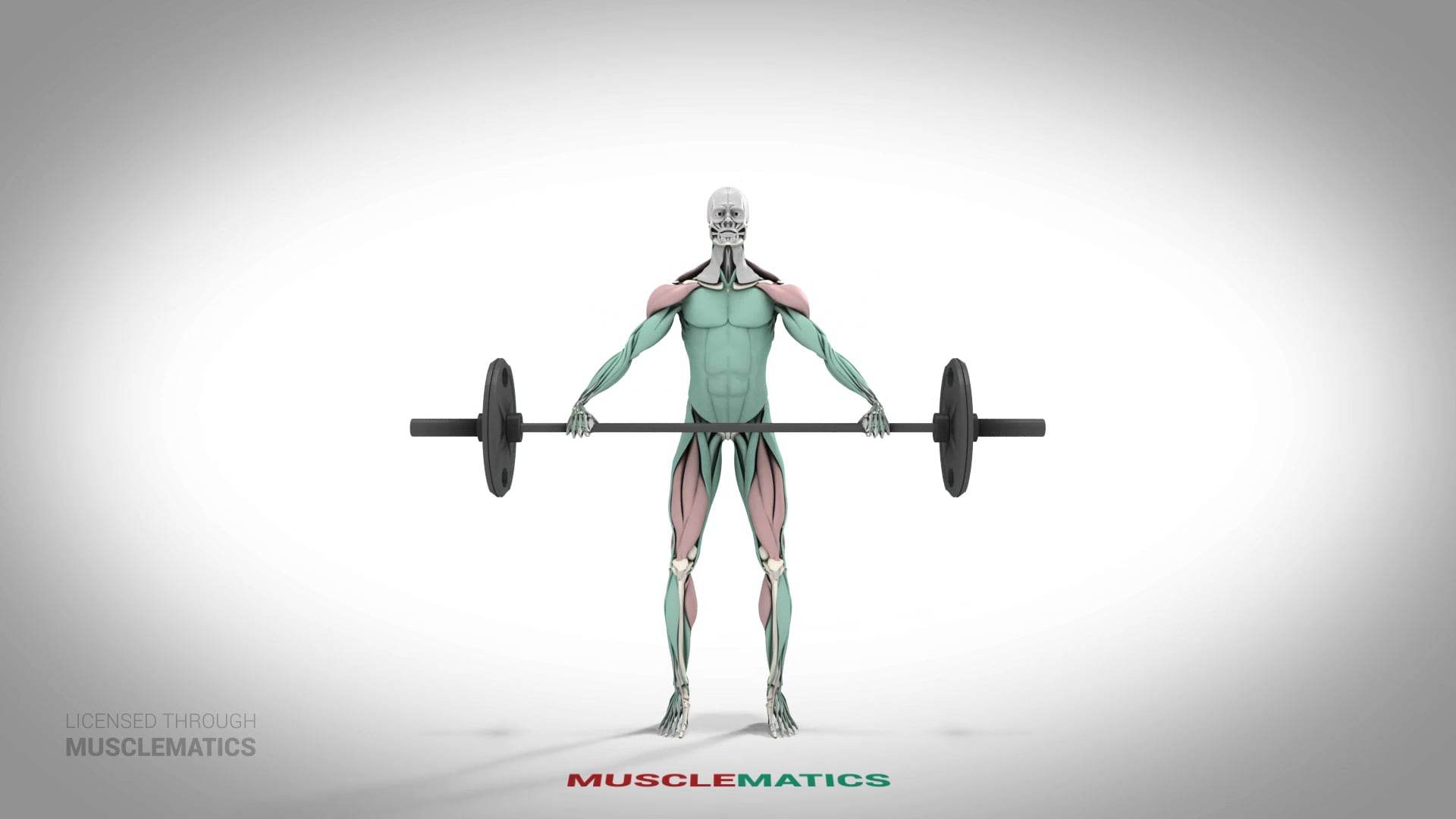 Snatch - (All Views)