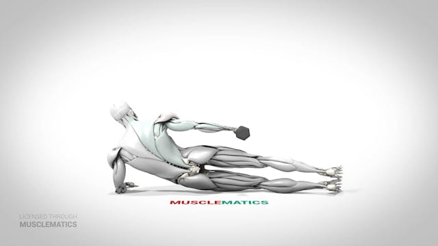 Side-Lying Lateral Raises - (View 3)