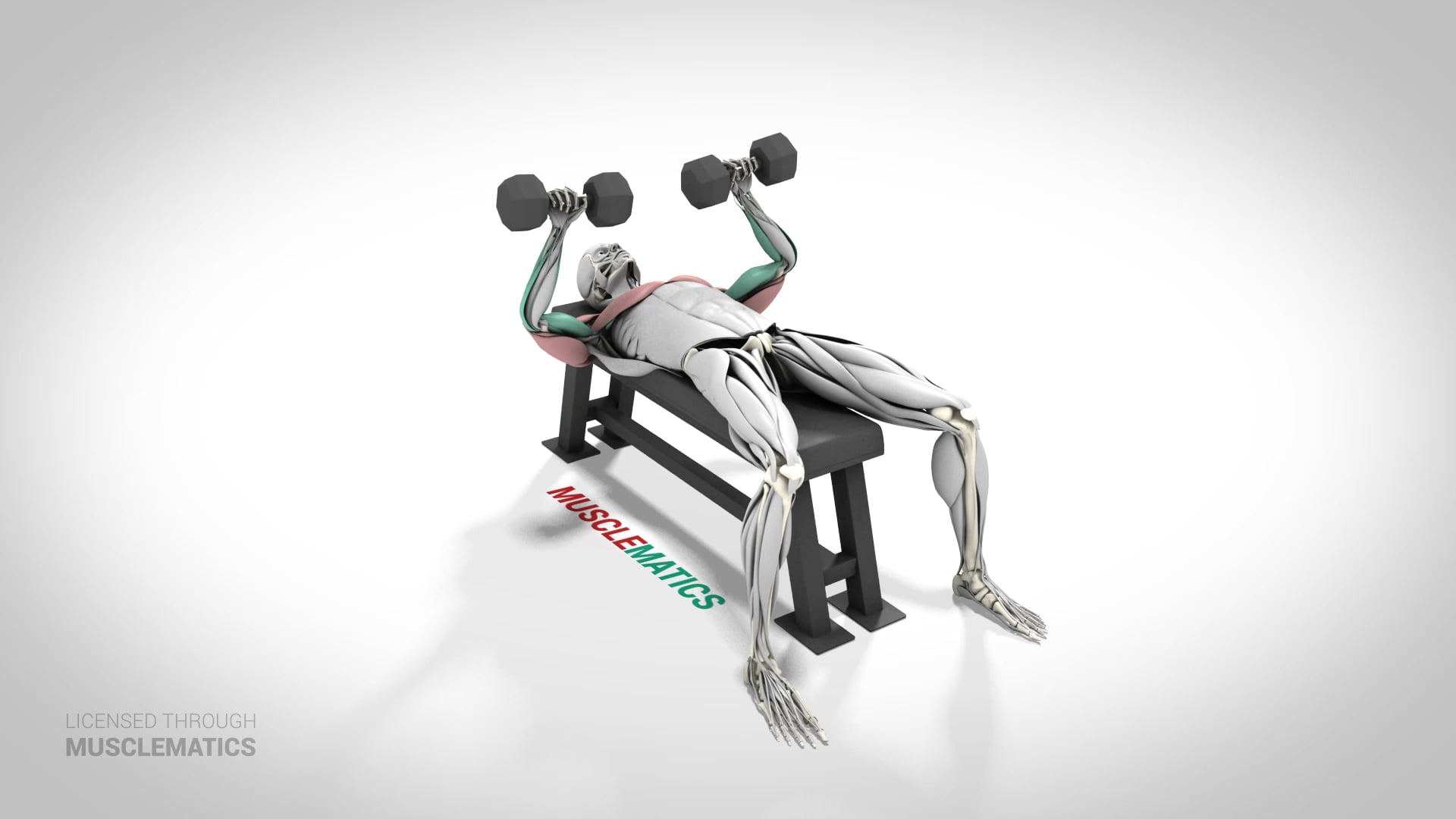 Dumbbell Presses - (View 1)