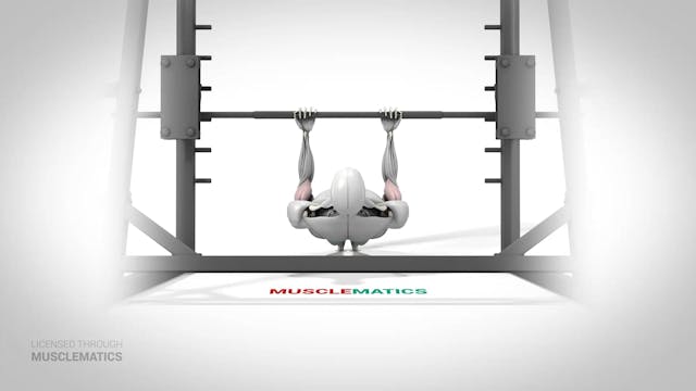 Bodyweight Inverted Curl With Straigh...