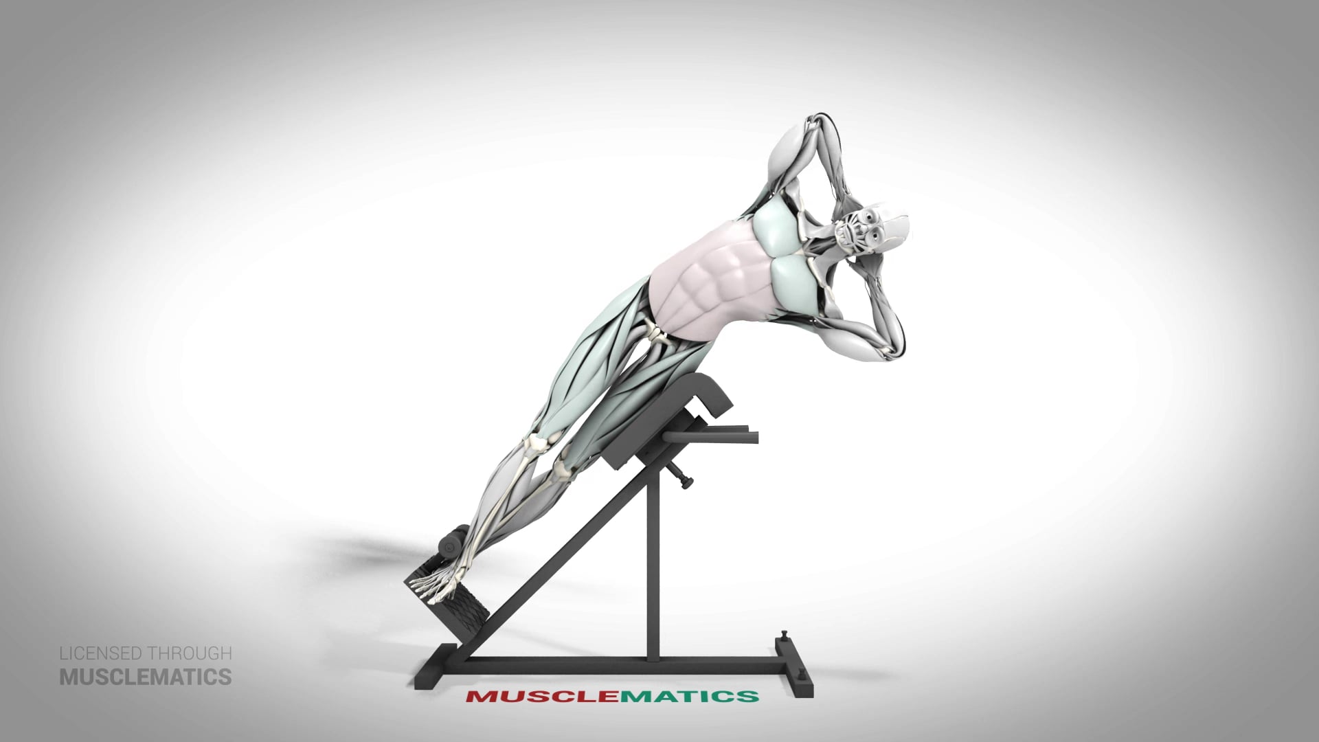 Roman Chair Side Bends - (All Views)