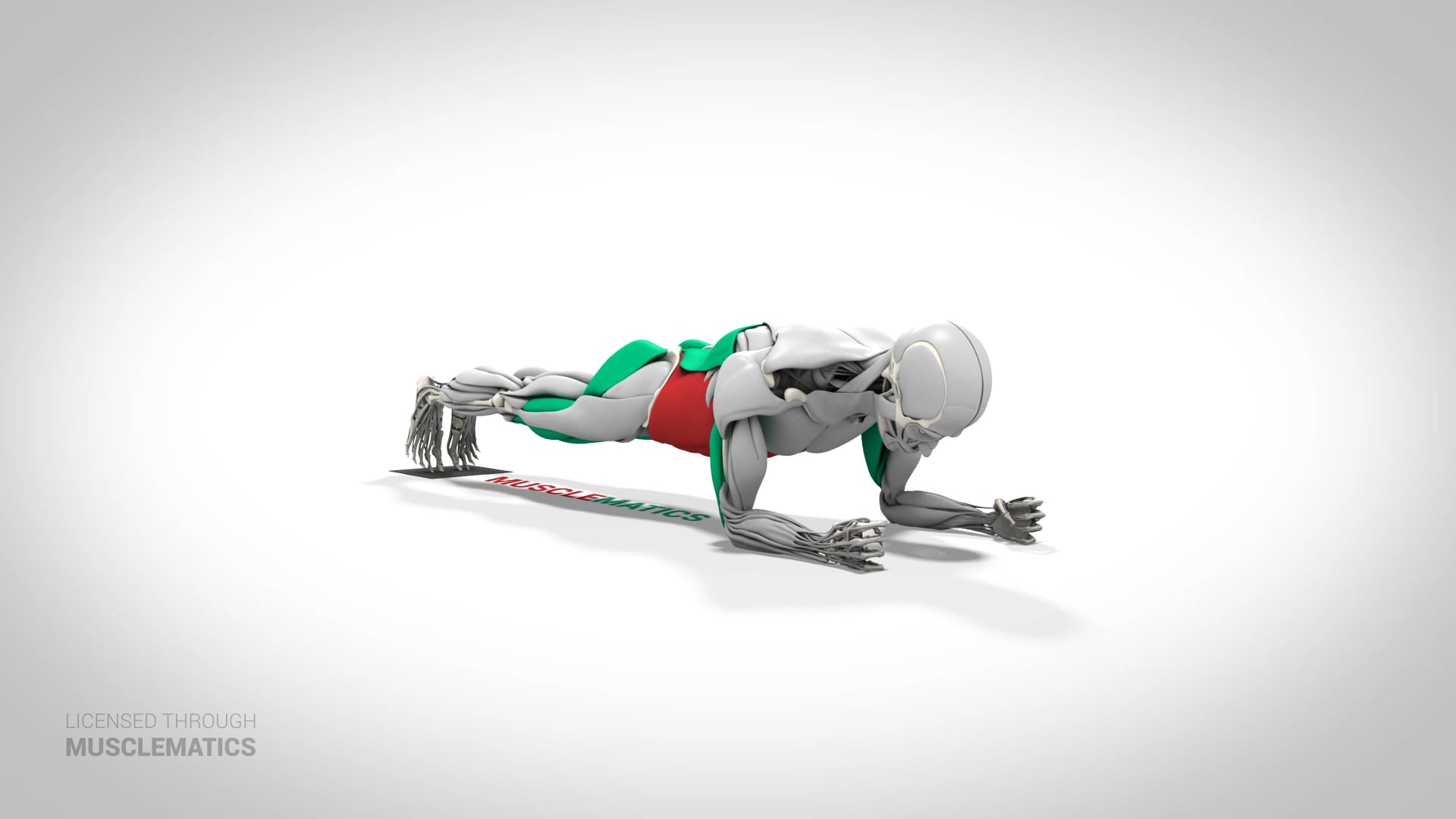 Sliding Body Saw - (View 3)