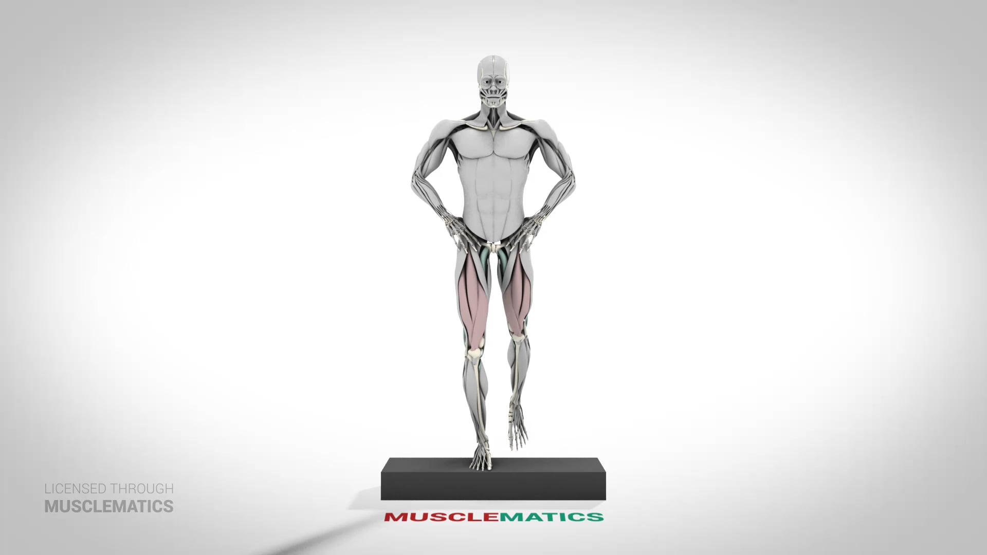 Step-Down Reverse Lunge - (View 1)