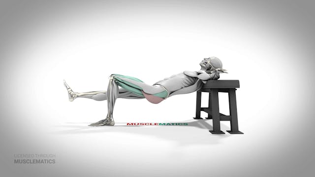 Single-Leg Incline Hip Thrust - (All ...