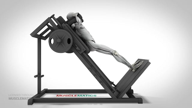 Half Squat Machine - (View 2)