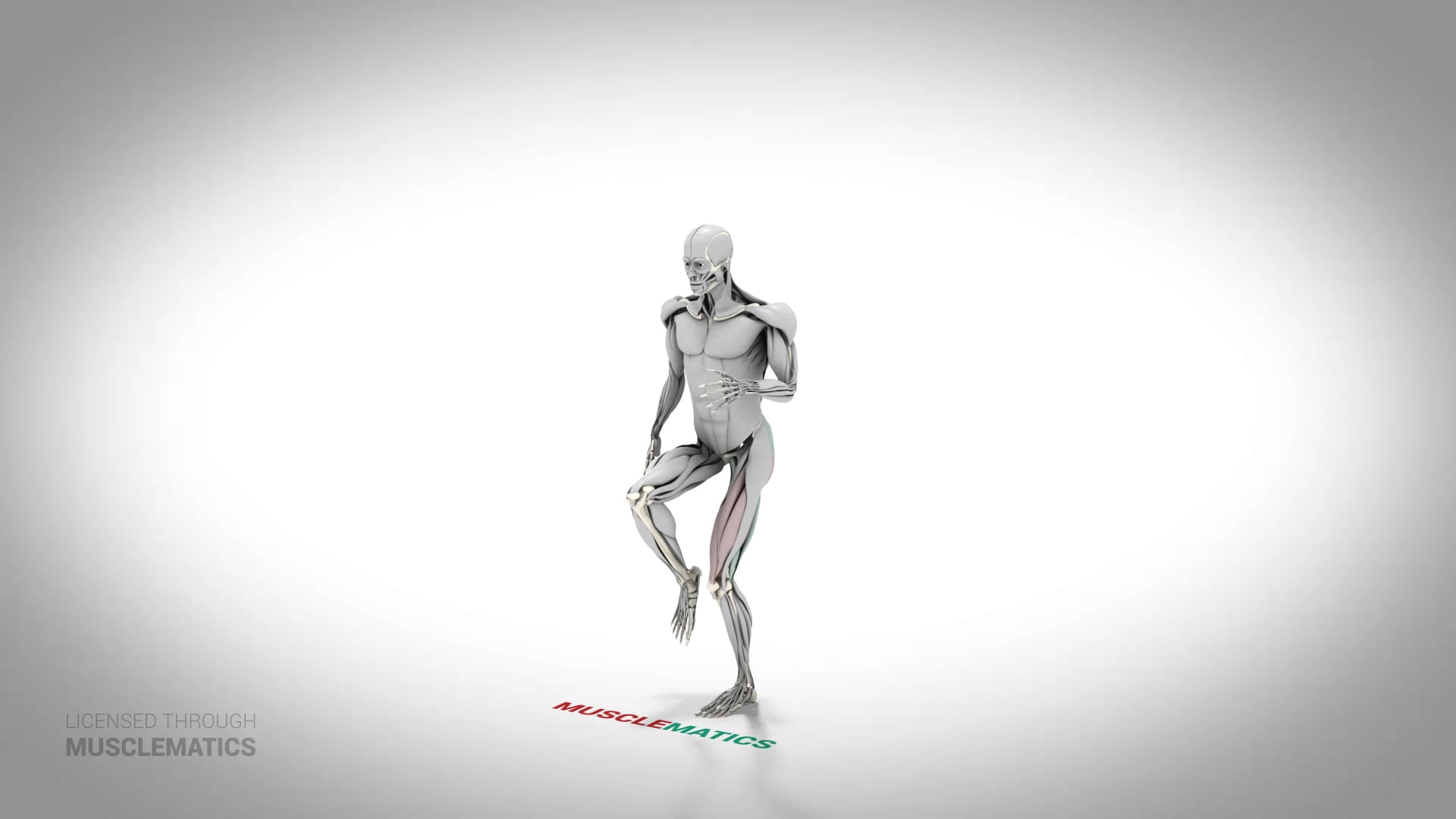 Jumping Skater Squat - (All Views) - LEFT