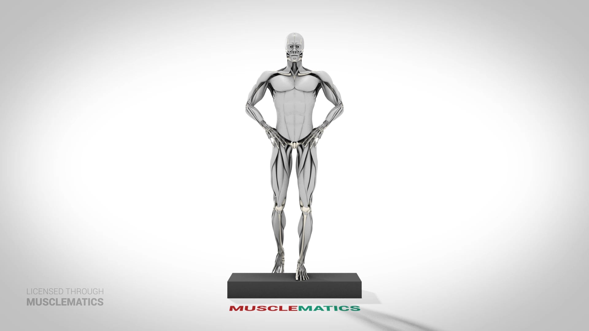 Step-Down Reverse Lunge - (View 1) - LEFT