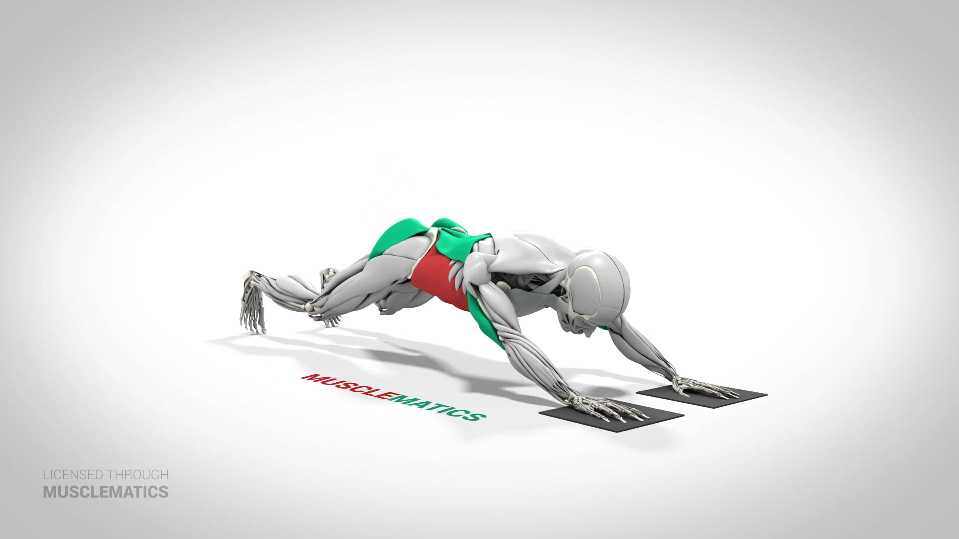 Standing Rollout - (View 2)