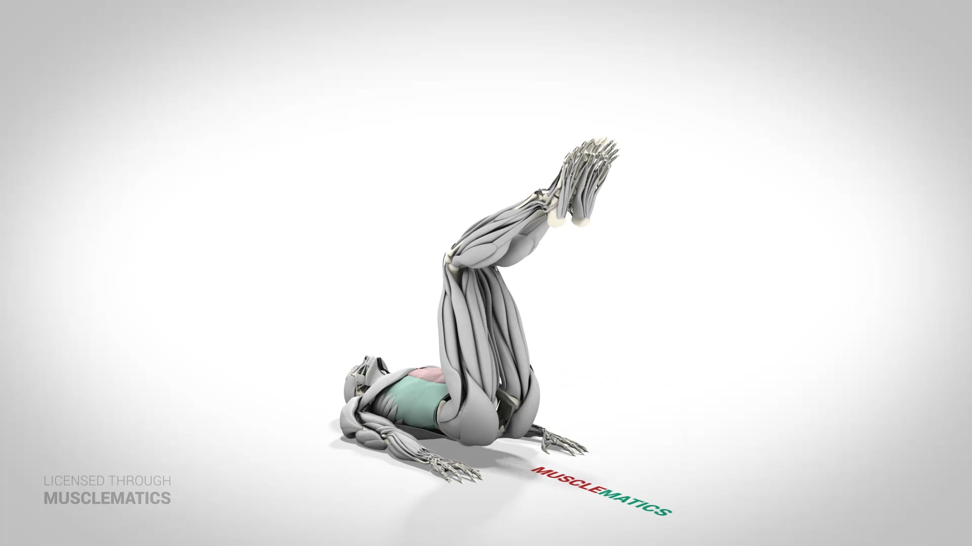 Reverse Crunch - (View 3)